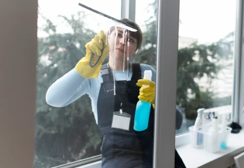 Nettoyage de vitres intérieures et extérieures à Buellas